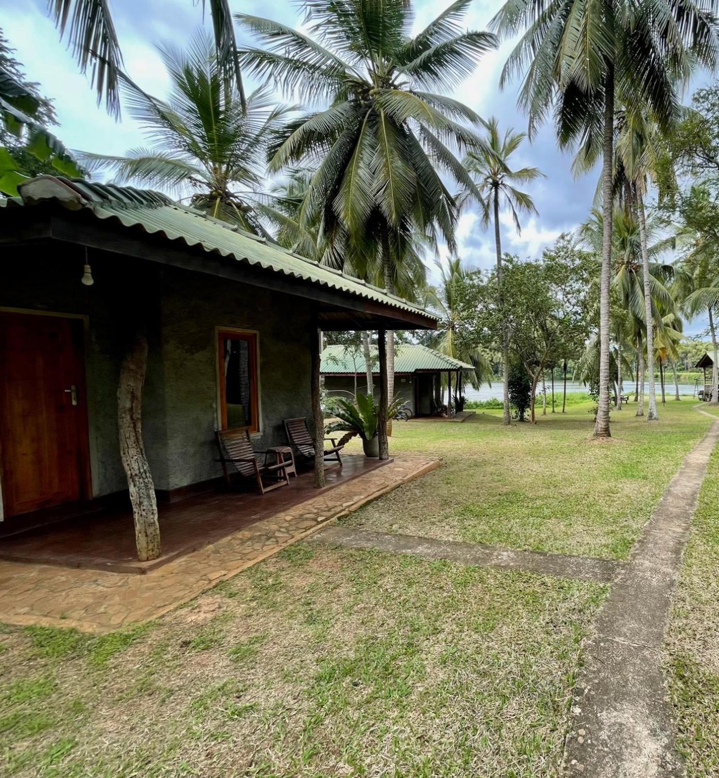 Udawalawa Safari Resort Udawalawe Quarto foto